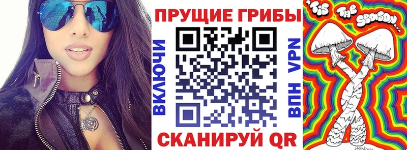 Галлюциногенные грибы Magic Shrooms  Курганинск 